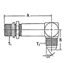 206209 SAE O-Ring Boss to 37º Flare